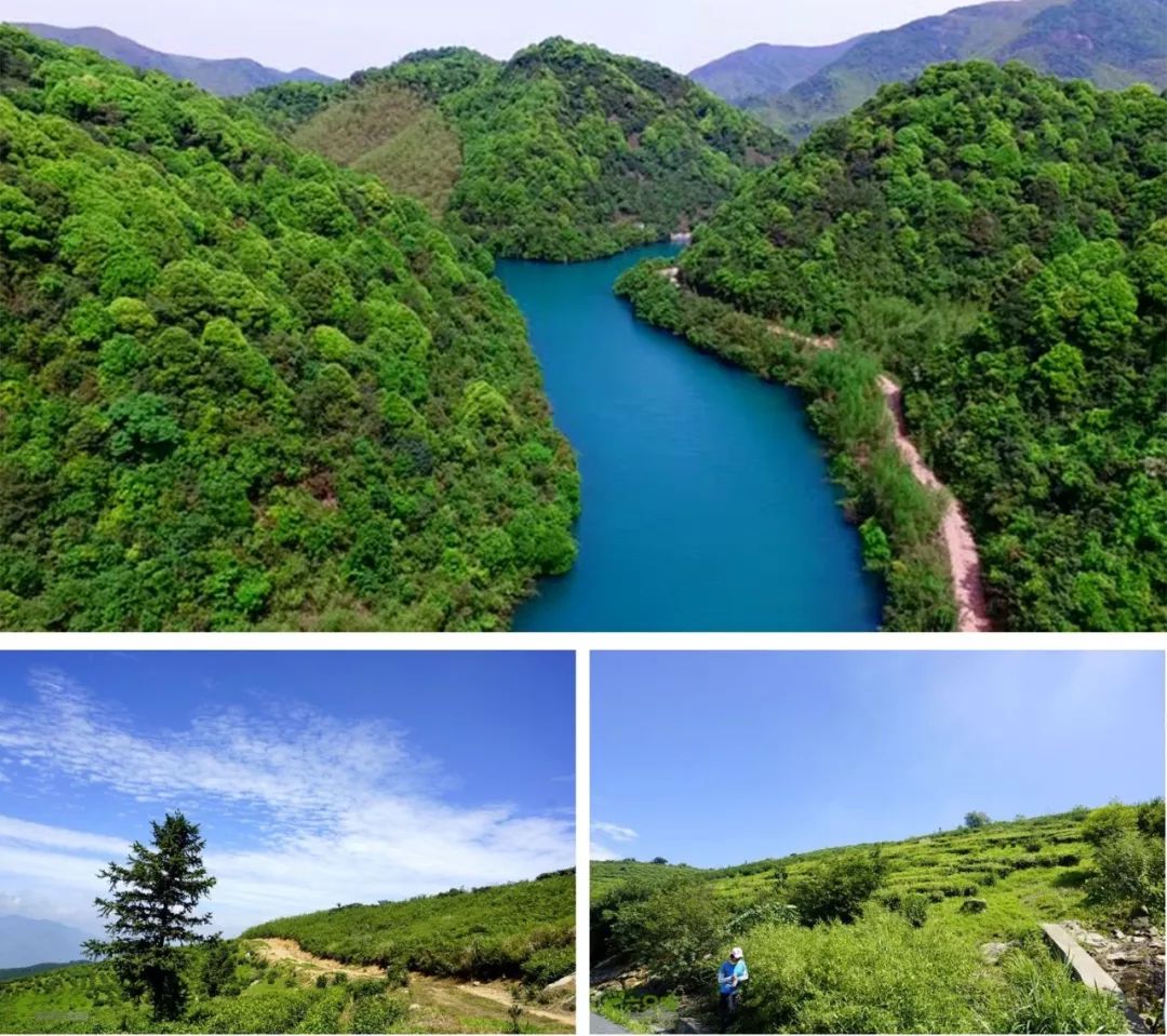 生活累了那就来感受一下大自然,让疲惫的身体回归原生态大自然