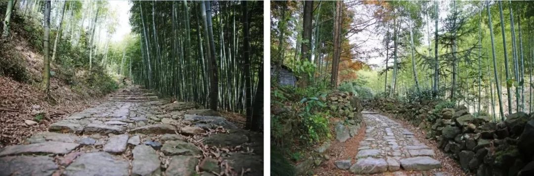 生活累了那就来感受一下大自然,让疲惫的身体回归原生态大自然