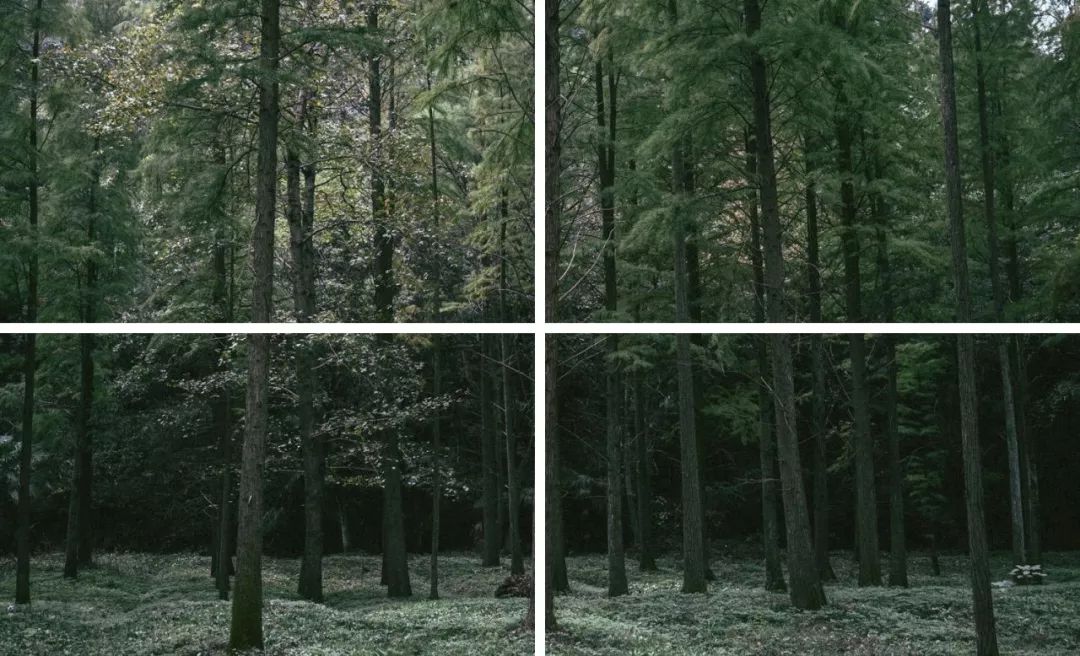 生活累了那就来感受一下大自然,让疲惫的身体回归原生态大自然