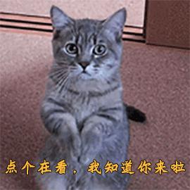 风油精滴点在衣服上有什么效果,风油精喷在衣服上会怎么样