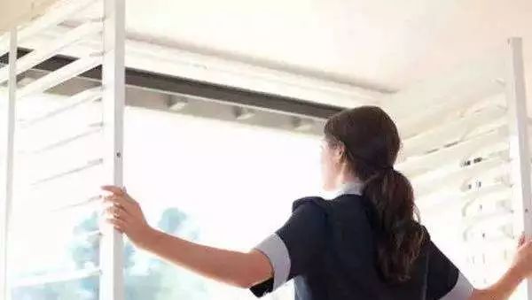 吸甲醛最快最有效的植物排名第一,吸甲醛最快最有效的植物排名