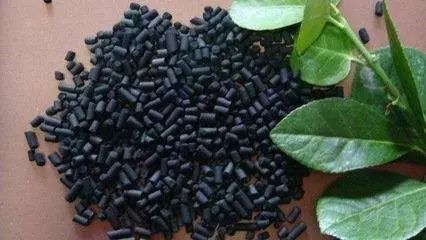 吸甲醛最快最有效的植物排名第一,吸甲醛最快最有效的植物排名