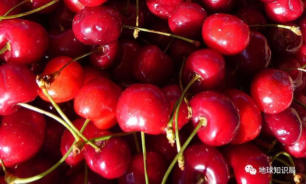 天热看看雪景视频,天热看太阳的视频