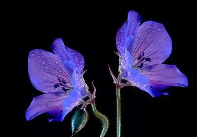 冬夜美文欣赏,精彩美文阅读