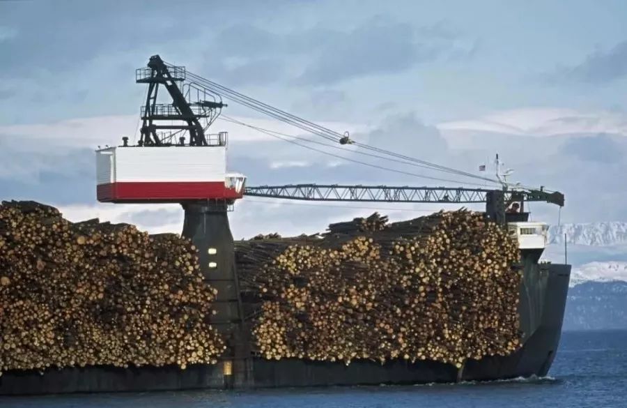 木材科普知识大全,木材海运怎么计费