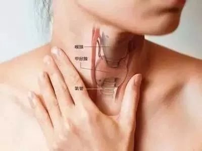 经常掉发的人有什么办法,经常掉发吃什么能改善