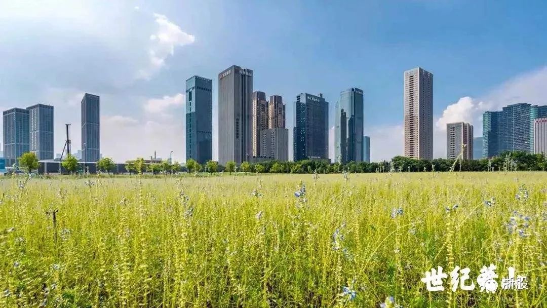 2017萧山纳税企业500强,萧山纳税排行榜