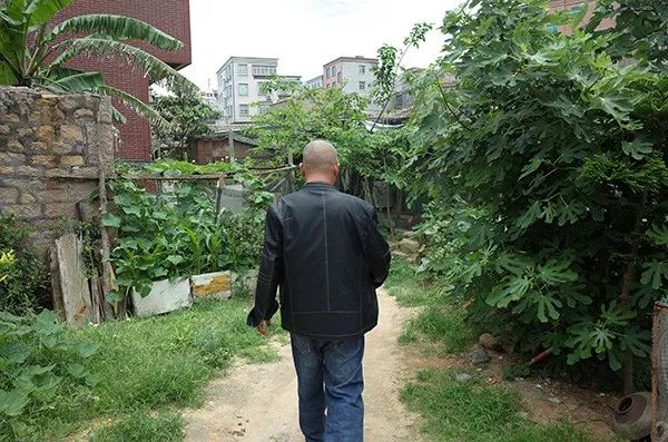 一个奇迹歌曲,一个奇迹的诞生