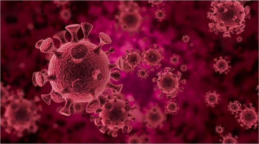 关于HPV病毒，这些知识你该看一看啦