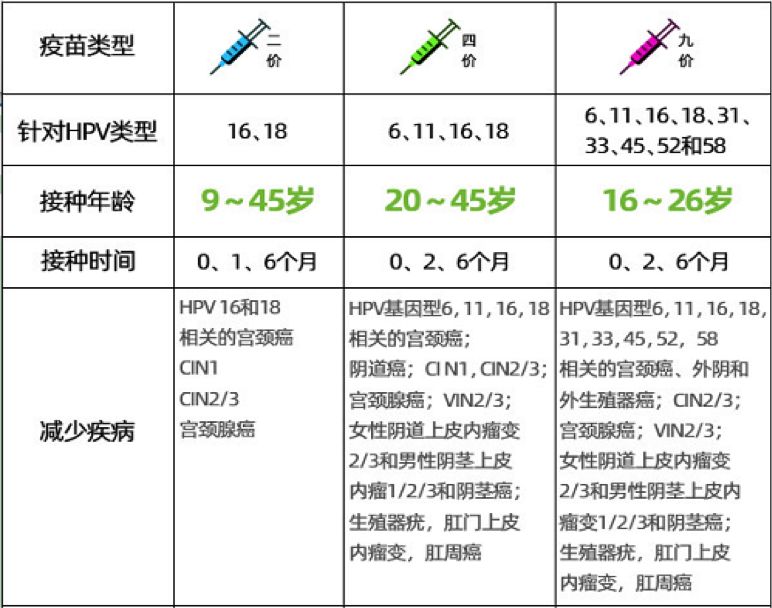 关于HPV病毒，这些知识你该看一看啦