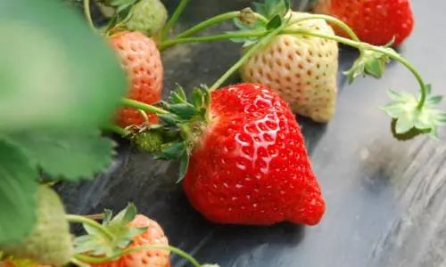 什么病听起来很吓人但治愈率很高,有哪些病听起来很吓人却又不严重