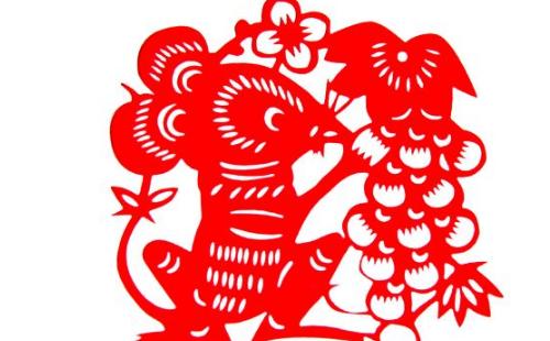 1972年属鼠女在2019年每月运势,1972年属鼠女在2019年运势