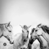 北新路桥中吉乌铁路,北新路桥股吧2021目标价