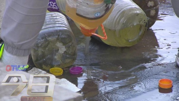 青岛这个居民楼顶变“开心农场”！近百个泡沫盒种了各种蔬菜