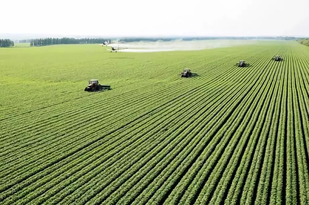 化肥为什么被称为“土地*片鸦**”？真相曝光了