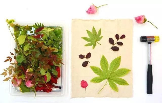 植物染布简单教程,绿色植物扎染怎么做