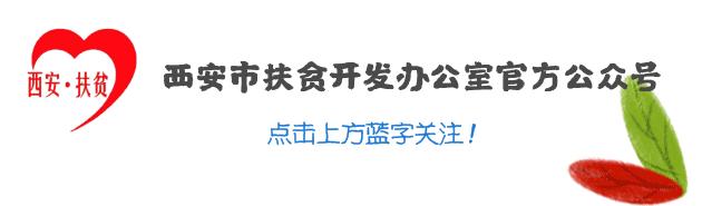 拾花工赴疆采摘美好“钱”景