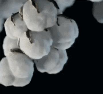 怎样去除女裤内裆异味,内衣裤处瘙痒小妙招