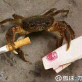 深科技股吧,深科技股吧601698