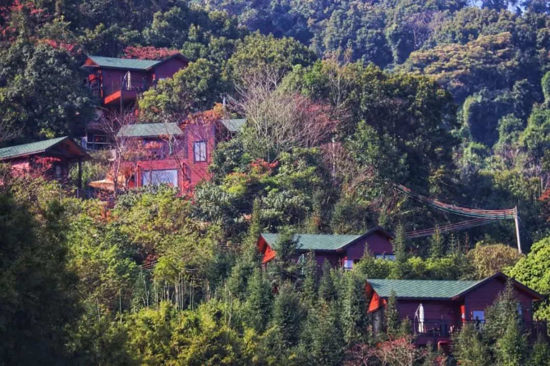 清远温泉室外民宿带私人泡池,清远汤塘温泉民宿不过夜