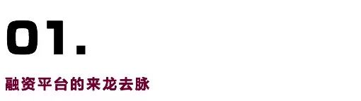 关于融资平台，看这篇就够了