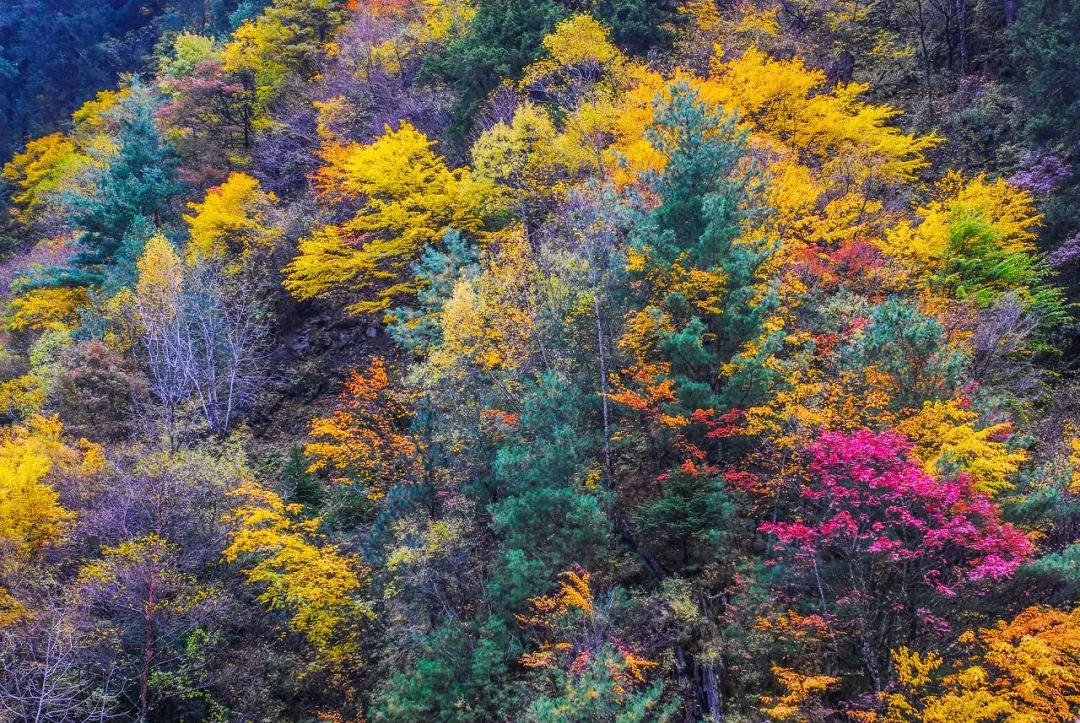 川西川西南,川西大环线适合几月去