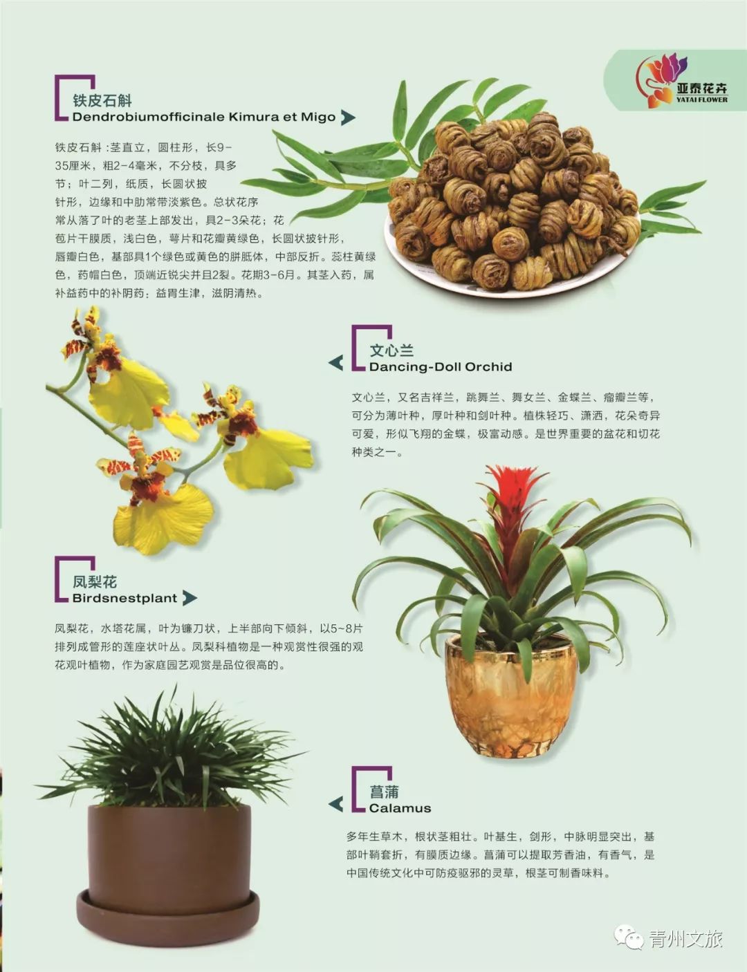 在青州买的特产,青州一日游必买景点