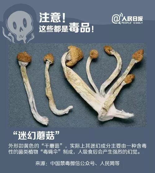 千万别吃这五种饼干有毒,提醒这种坚果不能吃千万留心