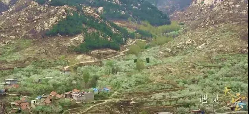 周末去玩安静舒适的地方,周末愉快最新好玩的地方