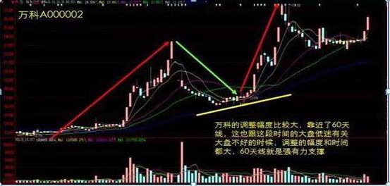 年线选股法公式,选股技巧龙回头战法