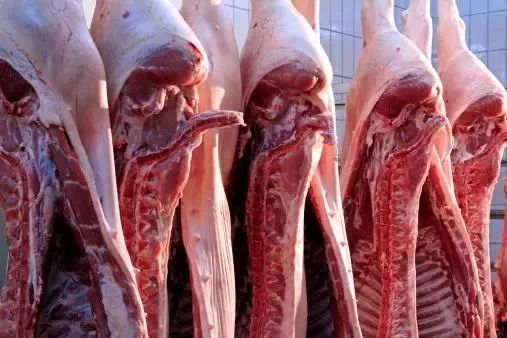 重要通告！明天起，明光将集中取缔非法生猪屠宰点！