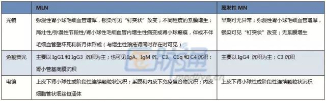 膜性狼疮性肾炎5型,狼疮性肾炎的肾脏病理检查