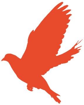 60年代歌颂大庆的歌曲系列,大庆油田第一首歌曲