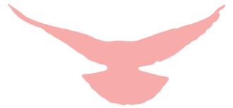 航天科技集团四院：热血奔腾固体人用“心”托举航天梦