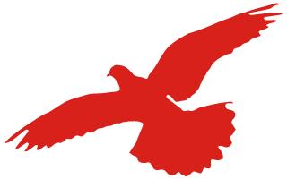 航天科技集团四院：热血奔腾固体人用“心”托举航天梦