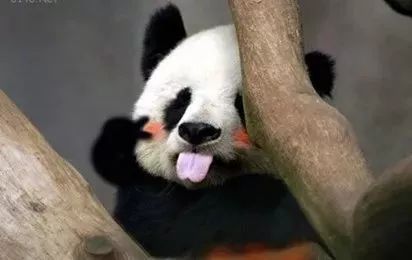 秦皇岛这家店绝密资料泄露！两天后开到半夜11点竟因“它”~