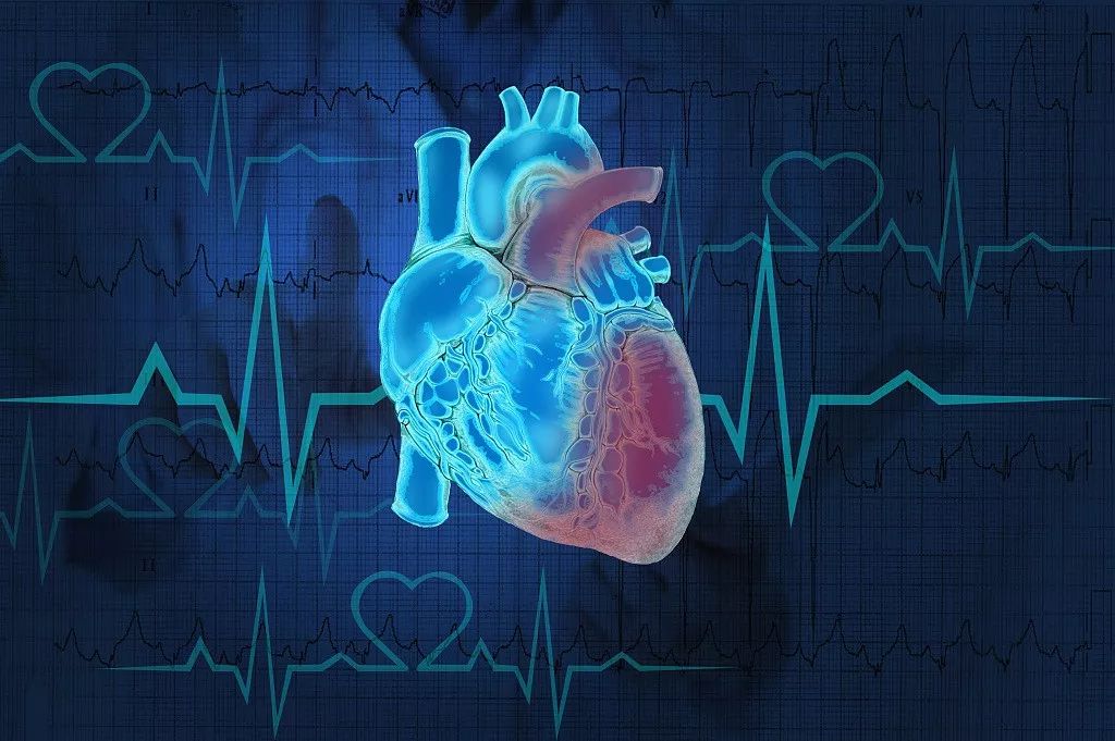 感染性心内膜炎发热不退,频繁反复高烧是什么原因