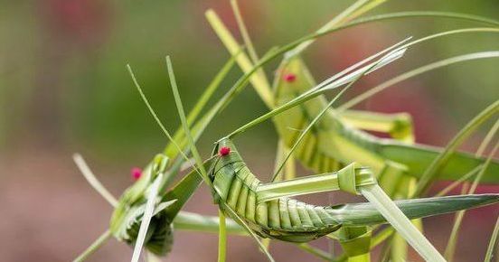 跟随杭州“自然大咖”的步伐，开启西湖秘境之旅！5天4夜，探索鲜为人知的寂静之地