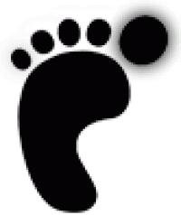 甲状腺全切喝酒,甲状腺全切食谱