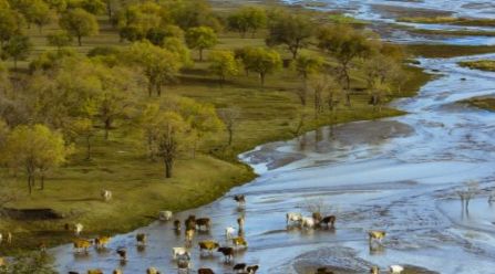 乌兰布统门票九块九,北戴河承德乌兰布统五日游价格