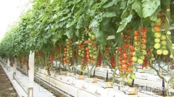 山东通报14批次不合格食品,山东通报这20批次食品抽检不合格