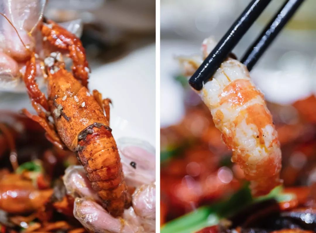 1折抢大家乐KTV欢唱卡？！更有花样美食指南，自助、烤肉全都有