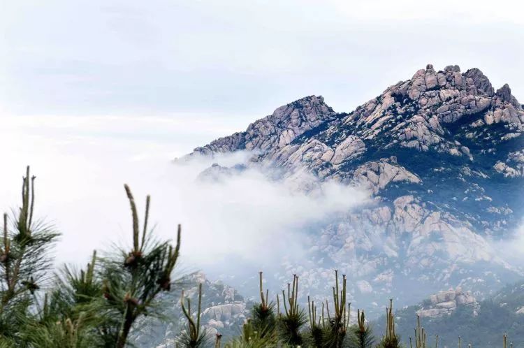 济南和青岛哪个能代表山东,济南和青岛谁的级别高