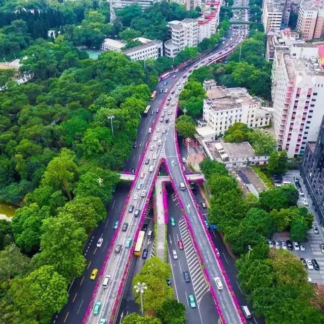中国十大乐团,厉害了广州
