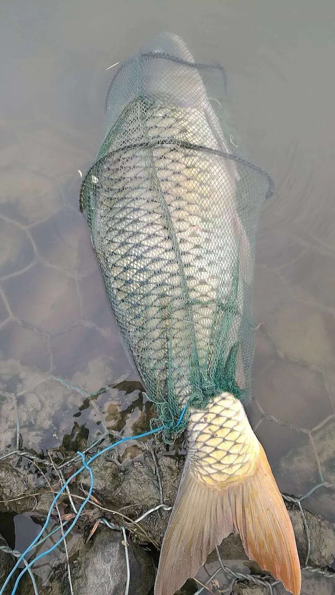 兄弟，我可能不能跟你一块钓鱼了