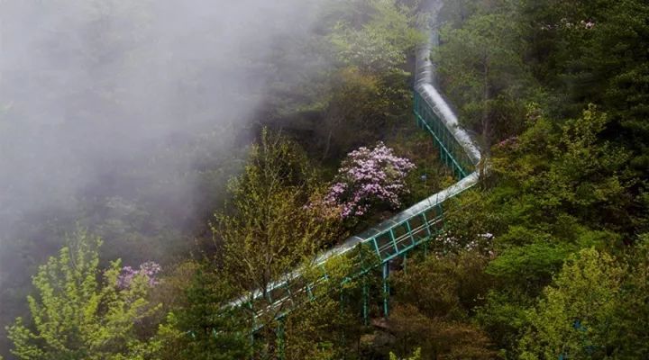 羊狮慕风景区过年放假么,暑期放假优惠有礼