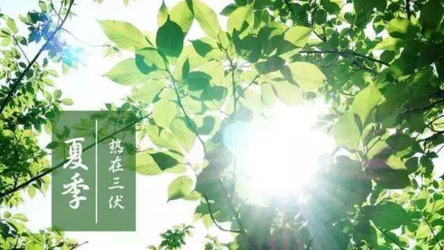 健康知识预防中暑看这里,为啥有人轻易会中暑