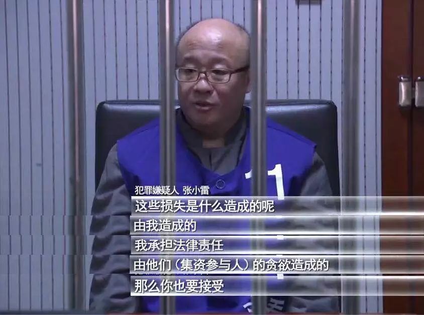 张小雷钱宝网案件最新进展,钱宝网案退赔比例