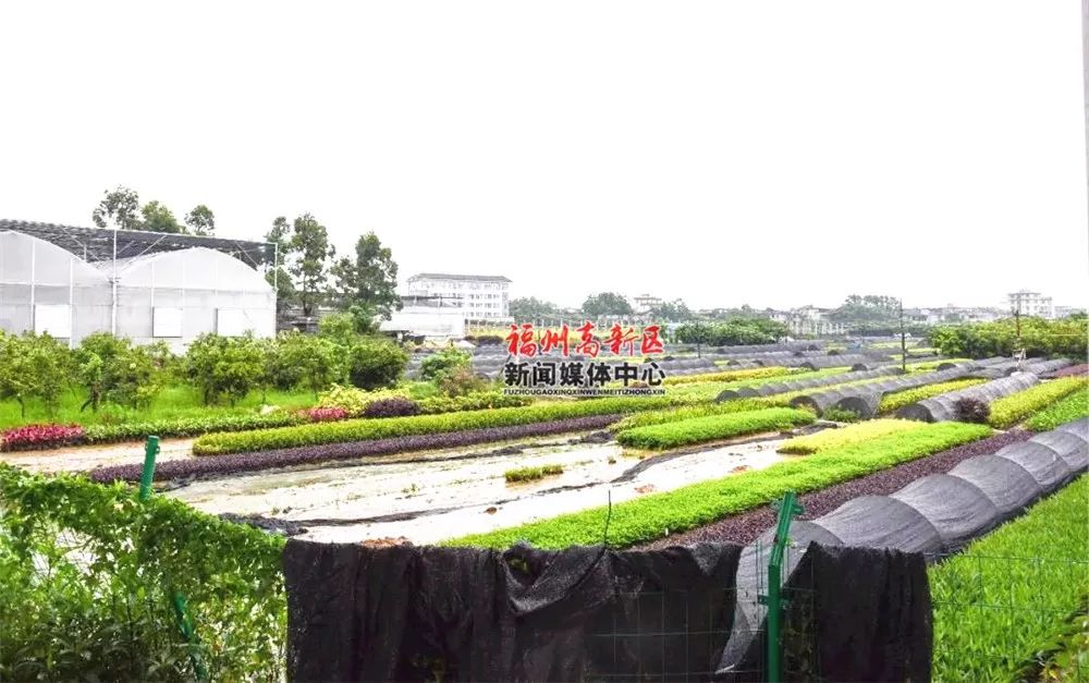 福州这个地方教育配套大爆发！多所学校即将“上线”！「区县头条」