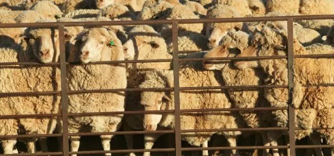 618背后的黑产大战：你在通宵抢优惠券，阻止“羊毛*党**”的人同样彻夜不眠